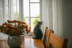 A little house of HomeSweetHome